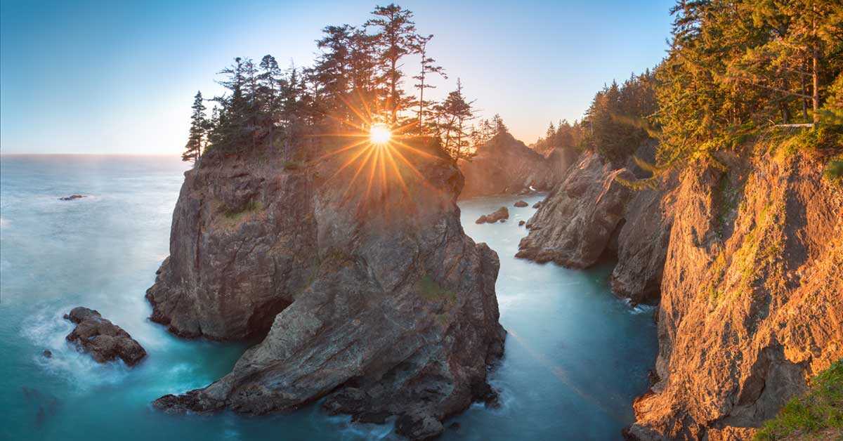 Siding and Rot Repair Discounts